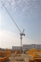 TD250(TD5520)動臂塔機