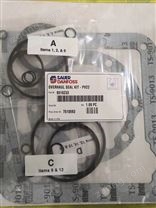 薩奧PV23/22/21修理包和油封